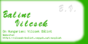 balint vilcsek business card